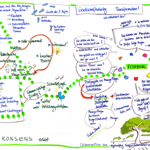 Graphic Recordings: Abschluss - Open Space - Fishbowl (4)